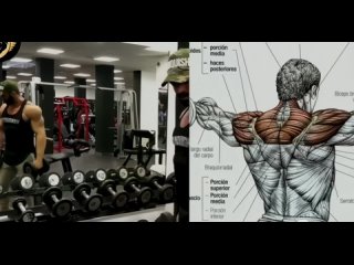 training shoulders nhtybhetv gktxb nhtybhetv gktxb nhtybhetv gktxb